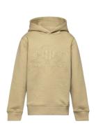 Tonal Shield Hoodie Tops Sweat-shirts & Hoodies Hoodies Khaki Green GA...