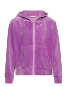 Nkflaral Ls Velour Card Wh Tops Sweat-shirts & Hoodies Hoodies Purple ...