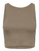 Drewgz Cropped Top Tops T-shirts & Tops Sleeveless Beige Gestuz