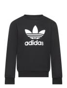 Trefoil Crew Tops Sweat-shirts & Hoodies Sweat-shirts Black Adidas Ori...