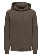 Onsceres Hoodie Sweat Noos Tops Sweat-shirts & Hoodies Hoodies Brown O...