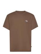 Summerdale Ss Tee Designers T-shirts Short-sleeved Brown Dickies