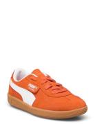 Palermo Ps Sport Sneakers Low-top Sneakers Orange PUMA