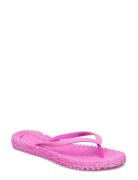 Flip Flop With Glitter Shoes Summer Shoes Sandals Flip Flops Pink Ilse...