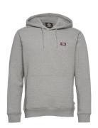 Oakport Hoodie Designers Sweat-shirts & Hoodies Hoodies Grey Dickies