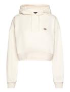 Oakport Cropped Hoodie Tops Sweat-shirts & Hoodies Hoodies Cream Dicki...