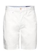 Straight Fit Bedford Short Bottoms Shorts Chinos Shorts White Polo Ral...