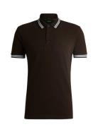 Paddy Sport Polos Short-sleeved Brown BOSS