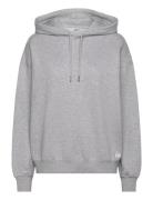 Studio Over D Hoodie Tops Sweat-shirts & Hoodies Hoodies Grey Björn Bo...