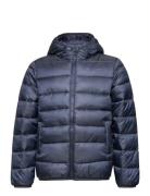 Hooded Jacket Sport Jackets & Coats Puffer & Padded Navy Champion