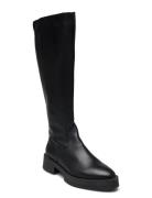 Medellyn High Boots Høye Støvletter Black Steve Madden