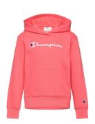 Hooded Sweatshirt Tops Sweat-shirts & Hoodies Hoodies  Champion