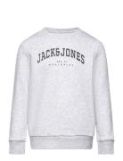 Jjecaleb Varsity Sweat Crew Neck Sn Jnr Tops Sweat-shirts & Hoodies Sw...