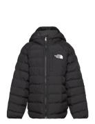 B Reversible Perrito Hooded Jacket Fôret Jakke Black The North Face