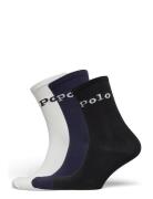 Bci Cotton-Tissue Weight Polo Lingerie Socks Regular Socks Black Polo ...