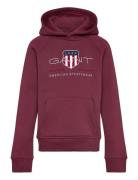 Archive Shield Hoodie Tops Sweat-shirts & Hoodies Hoodies Burgundy GAN...