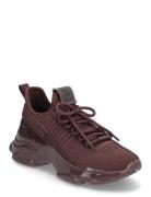 Maxilla-R-E Sneaker Lave Sneakers Burgundy Steve Madden