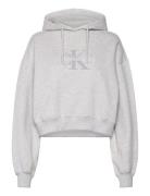 Chenille Monologo Hoodie Tops Sweat-shirts & Hoodies Hoodies Grey Calv...