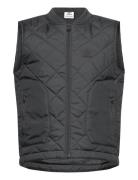 Vest Fôret Vest Black Adidas Originals