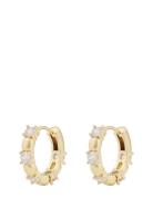 Billie Ring Ear G/Clear - Accessories Jewellery Earrings Hoops Gold SN...