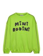 Mini Rodini Cats Sp Sweatshirt Tops Sweat-shirts & Hoodies Sweat-shirt...