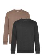 Sweatshirt Boys Tops Sweat-shirts & Hoodies Sweat-shirts Brown Minymo