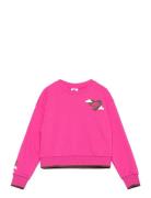 Fw-Crew Tops Sweat-shirts & Hoodies Sweat-shirts Pink Nike