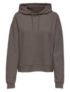 Onplounge Ls Hood Sweat - Noos Sport Sweat-shirts & Hoodies Hoodies Gr...