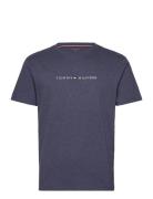 Ss Tee Tops T-shirts Short-sleeved Blue Tommy Hilfiger