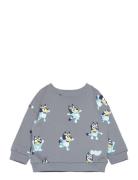 Bluey-Print Sweatshirt Tops Sweat-shirts & Hoodies Sweat-shirts Grey M...