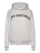 Varsity Sweat Hood Sport Sweat-shirts & Hoodies Hoodies Grey Aim´n