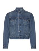 Denim Trucker Jacket Dongerijakke Denimjakke Blue Polo Ralph Lauren