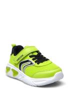 J Assister Boy C Lave Sneakers Green GEOX