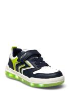 J Buzzerlight Boy B Lave Sneakers Green GEOX