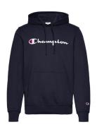 Hooded Sweatshirt Tops Sweat-shirts & Hoodies Hoodies Navy Champion