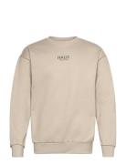 Halo Graphic Crew 02 Tops Sweat-shirts & Hoodies Sweat-shirts Beige HA...