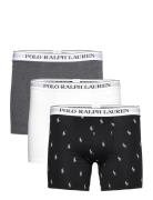 Stretch Cotton Boxer Brief 3-Pack Boksershorts Black Polo Ralph Lauren