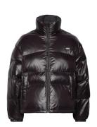 Retro Puffer Caviar Fôret Jakke Black Levi's®