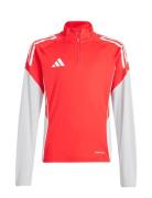 Tiro25C Tr Topy Sport Sweat-shirts & Hoodies Sweat-shirts Red Adidas P...