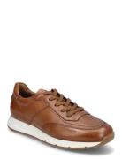 Amsterdam Lave Sneakers Brown Lloyd