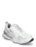 Speedster-E Sneaker Lave Sneakers White Steve Madden