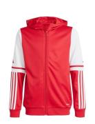 Sq25 Hood Y Sport Sweat-shirts & Hoodies Sweat-shirts Red Adidas Perfo...