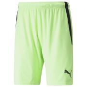 PUMA Shorts teamLIGA - Grønn/Sort