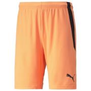 PUMA Shorts teamLIGA - Oransje/Svart