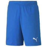 PUMA teamGOAL Knit Shorts - Blå/Hvit Barn