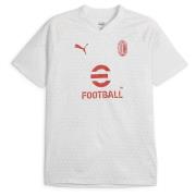 Milan Trenings T-Skjorte - Grå/Rød