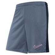 Nike Treningsshorts Dri-FIT Academy 23 - Grå/Sort/Rosa