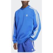 Adidas Original Adicolor Oversized Crew Sweatshirt