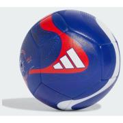 Adidas Predator Training Ball