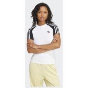 Adidas Original Adicolor 3-Stripes Raglan Slim Tee